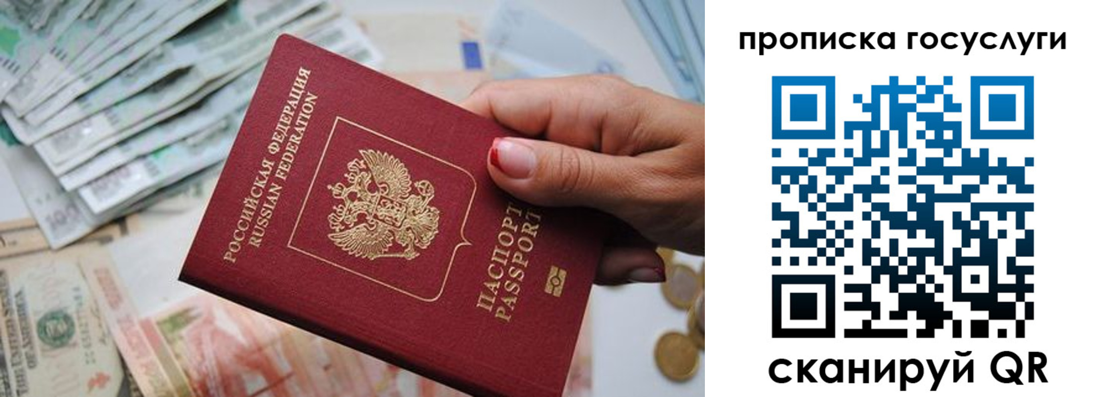 прописка поиск в Димитровграде